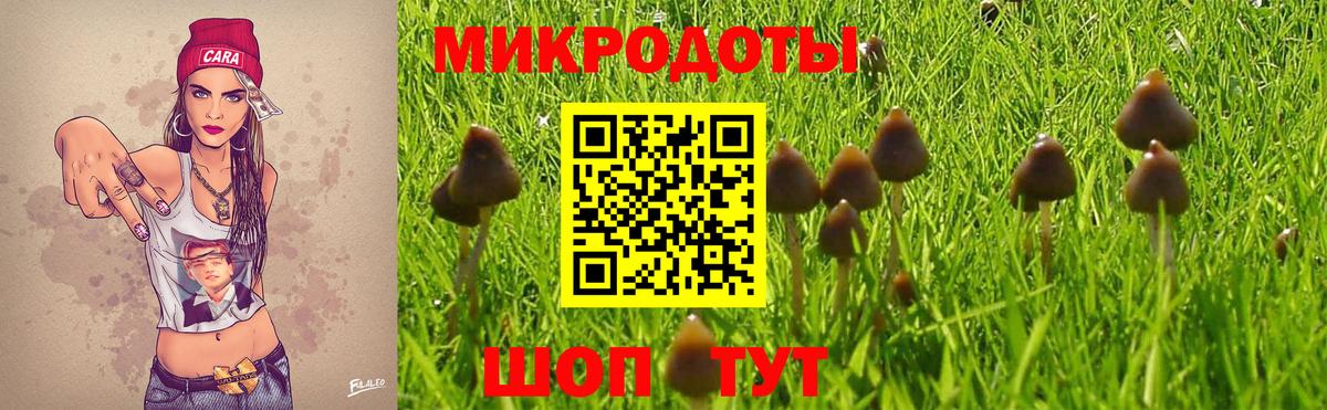 Псилоцибиновые грибы Psilocybine cubensis  Вход с VPN  Энгельс 