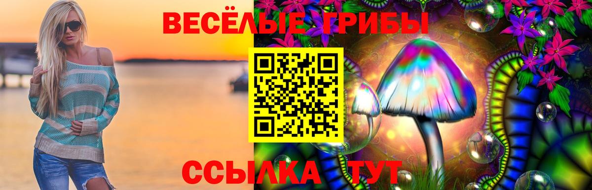 Галлюциногенные грибы прущие грибы Энгельс