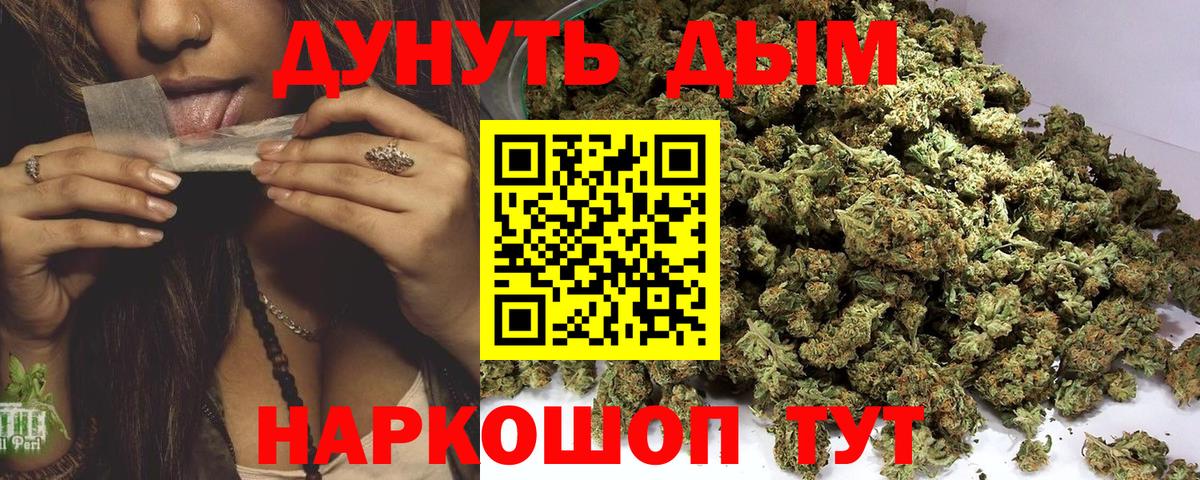 Конопля Bruce Banner Энгельс